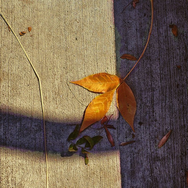 contemplativephoto-15web83118