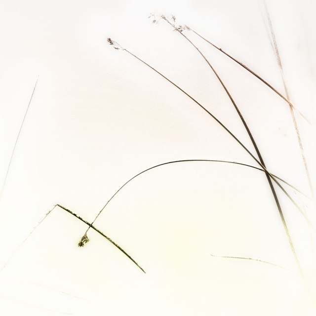 margaret'shomeweb102118