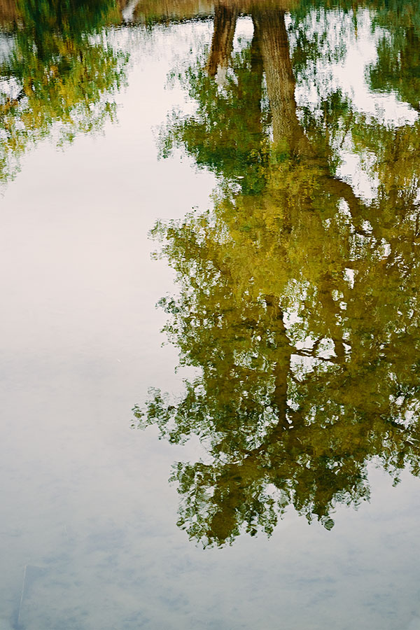 reflectionsweb102918