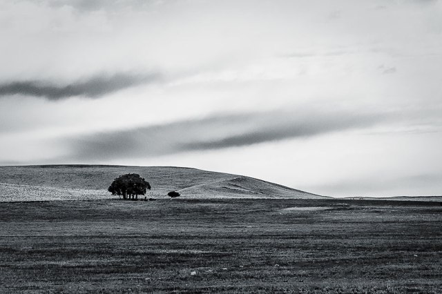 wyominglandscape-8web